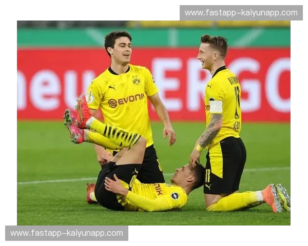 德甲巅峰对决:德国杯上的“南大王”与“大黄蜂”恩怨情仇 德甲巅峰对决:德国杯上的“南大王”与“大黄蜂”恩怨情仇